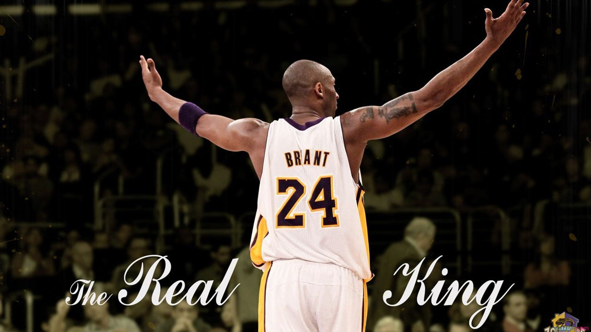 _极速决战：三盘激战，精彩纷呈_，极速决战电视剧